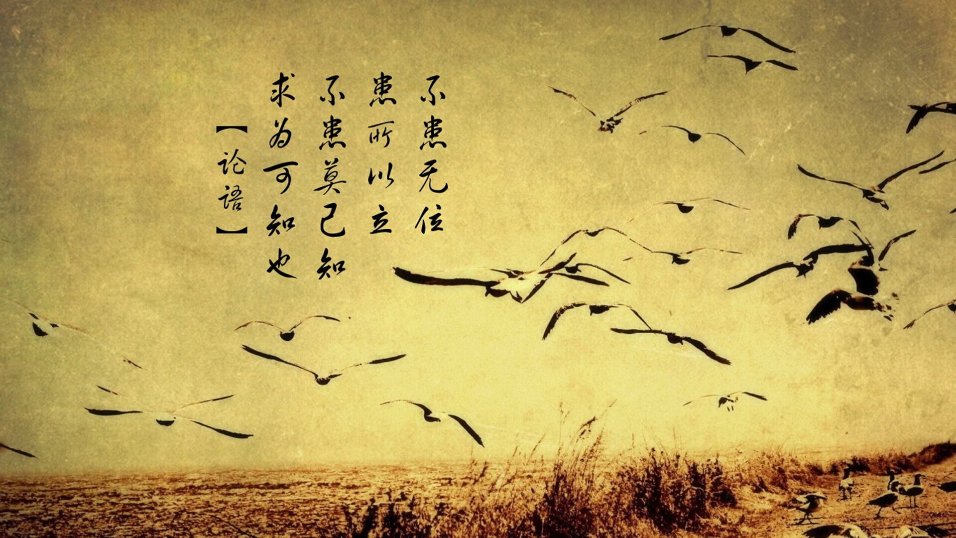 铁幕VS神射，魔术窒息防守锁死步行者，哈利伯顿连珠炮击碎反扑