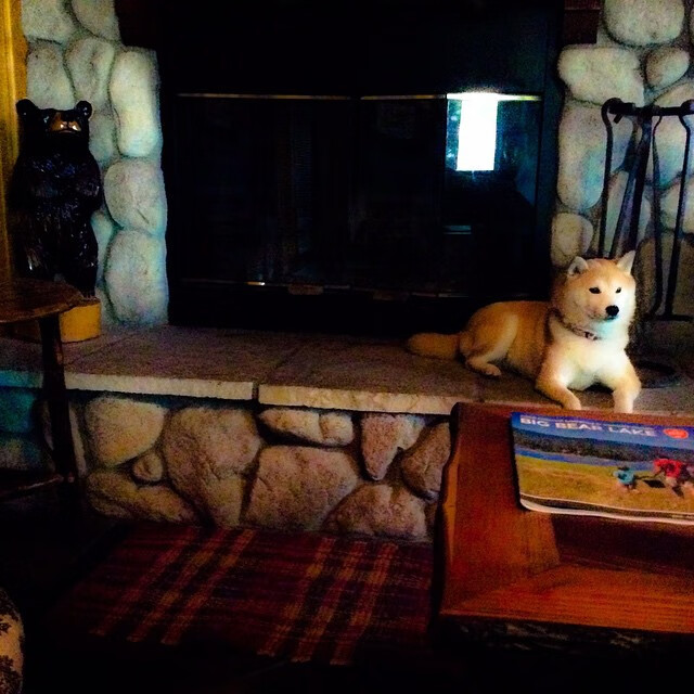 错位攻防,杜兰特如何用一记不存在的助攻,导演雄鹿压哨逆袭