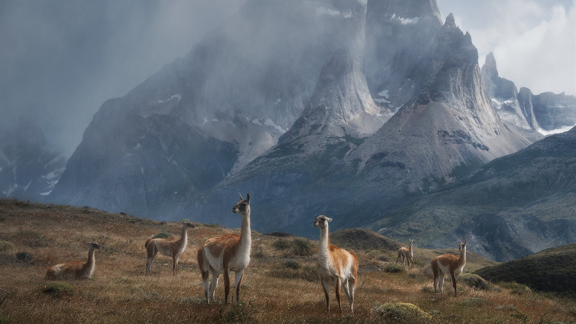关键夜的无声引擎，班凯罗稳定输出不掉线的东决传奇