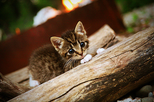 冰与火之歌,苏亚雷斯离题一击,如何让大西洋两岸的足球叙事提前落幕?