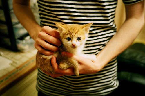 蓝月陨落,沙漠风暴全面压制曼城,C罗一剑封喉成关键先生