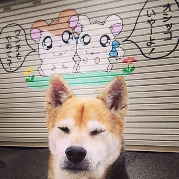 当京味儿韧劲遇上孟菲斯野性，莫兰特末节风暴破解长城密码