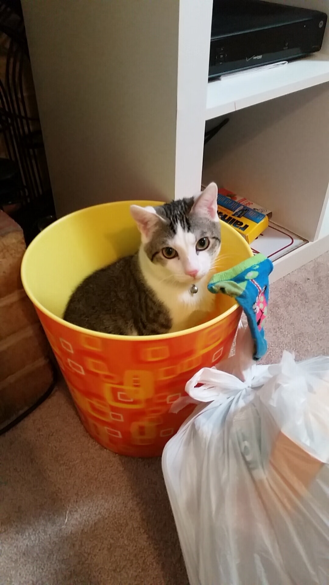 夜色下的狩猎，当马克西以狼群之名，锁住雷霆的咽喉