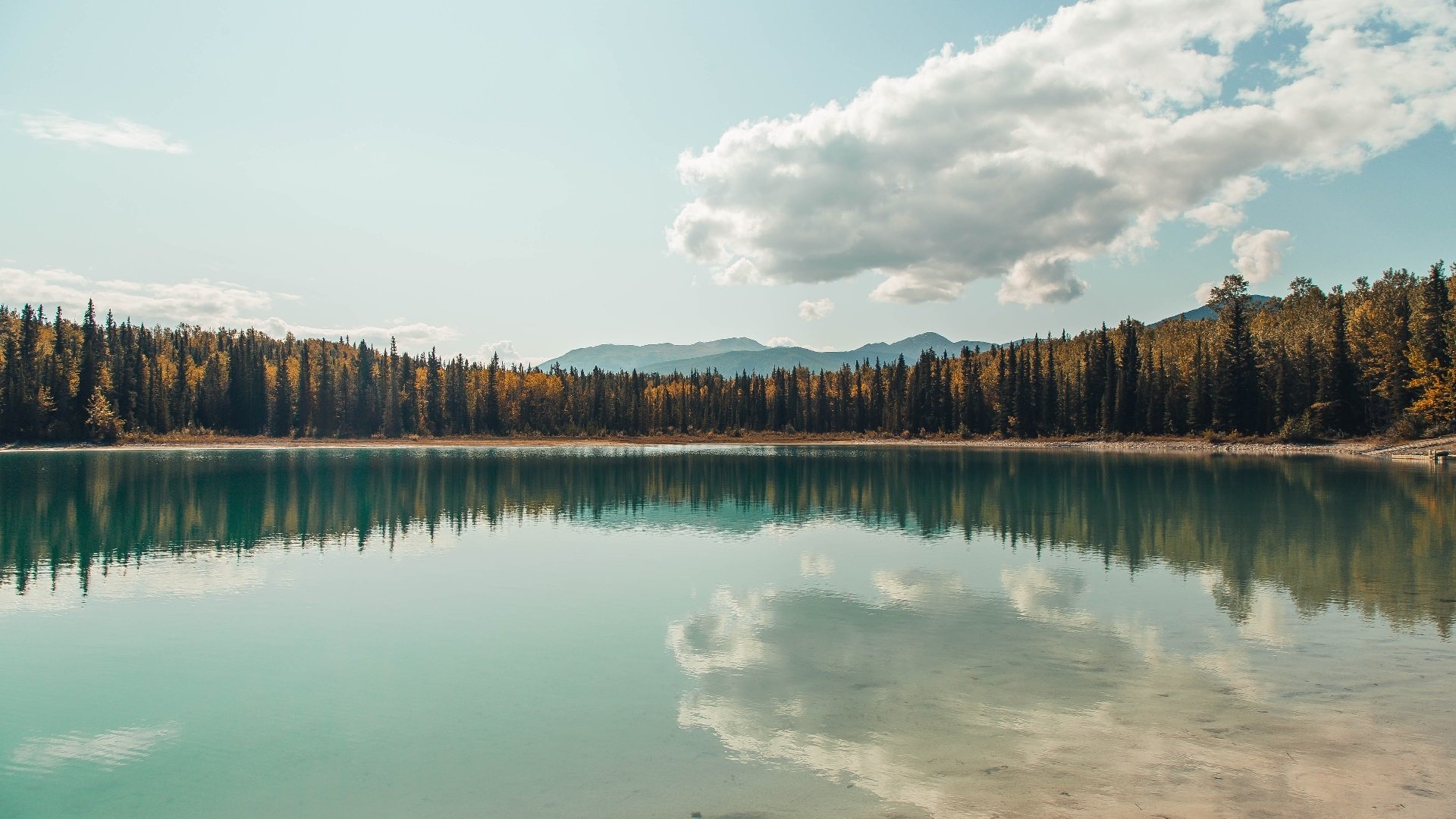 平行宇宙的体育周末，当库里左脚外脚背点燃诺坎普，休斯顿用掀翻致敬上海