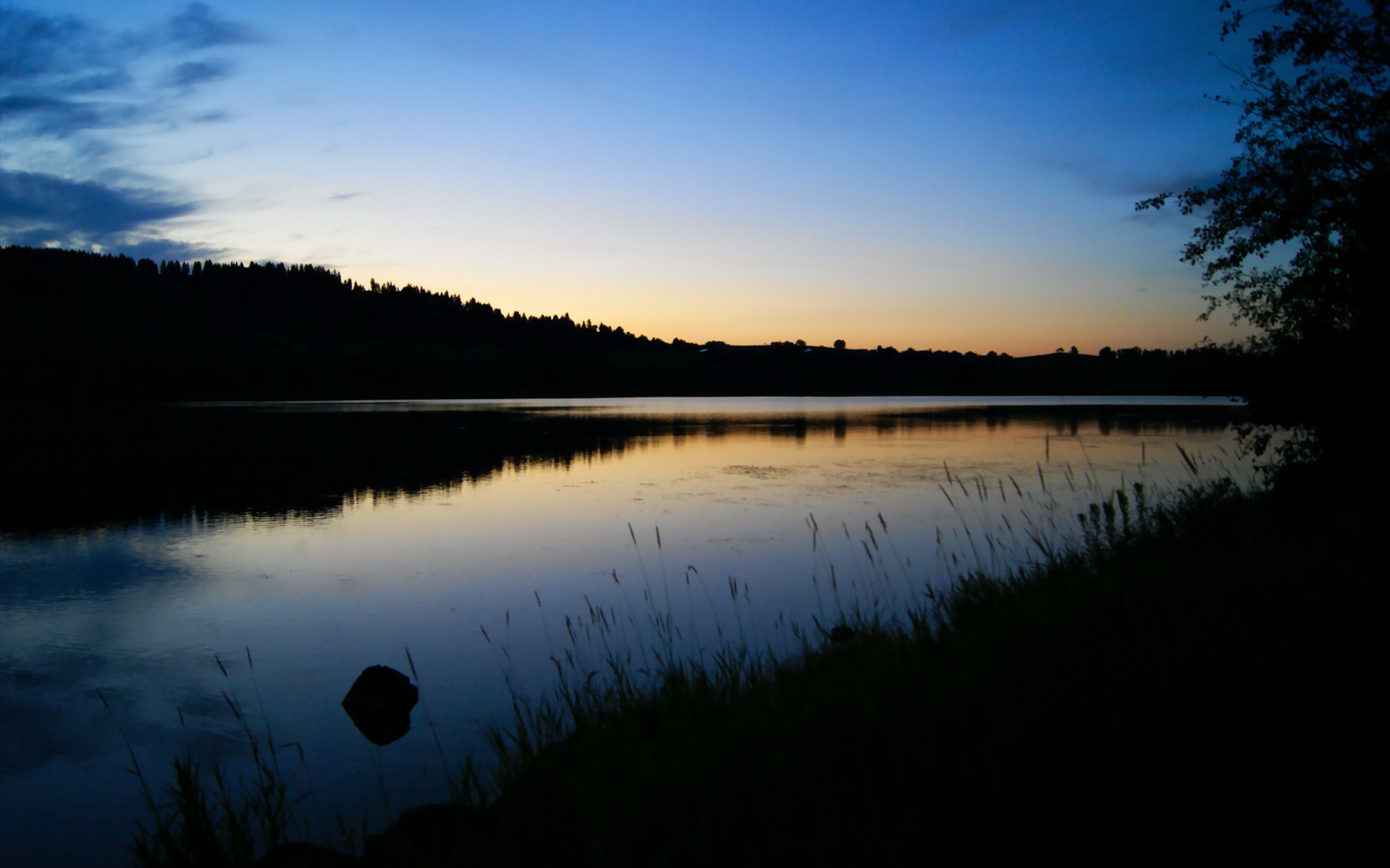 奥利维耶，夜空中最亮的星！