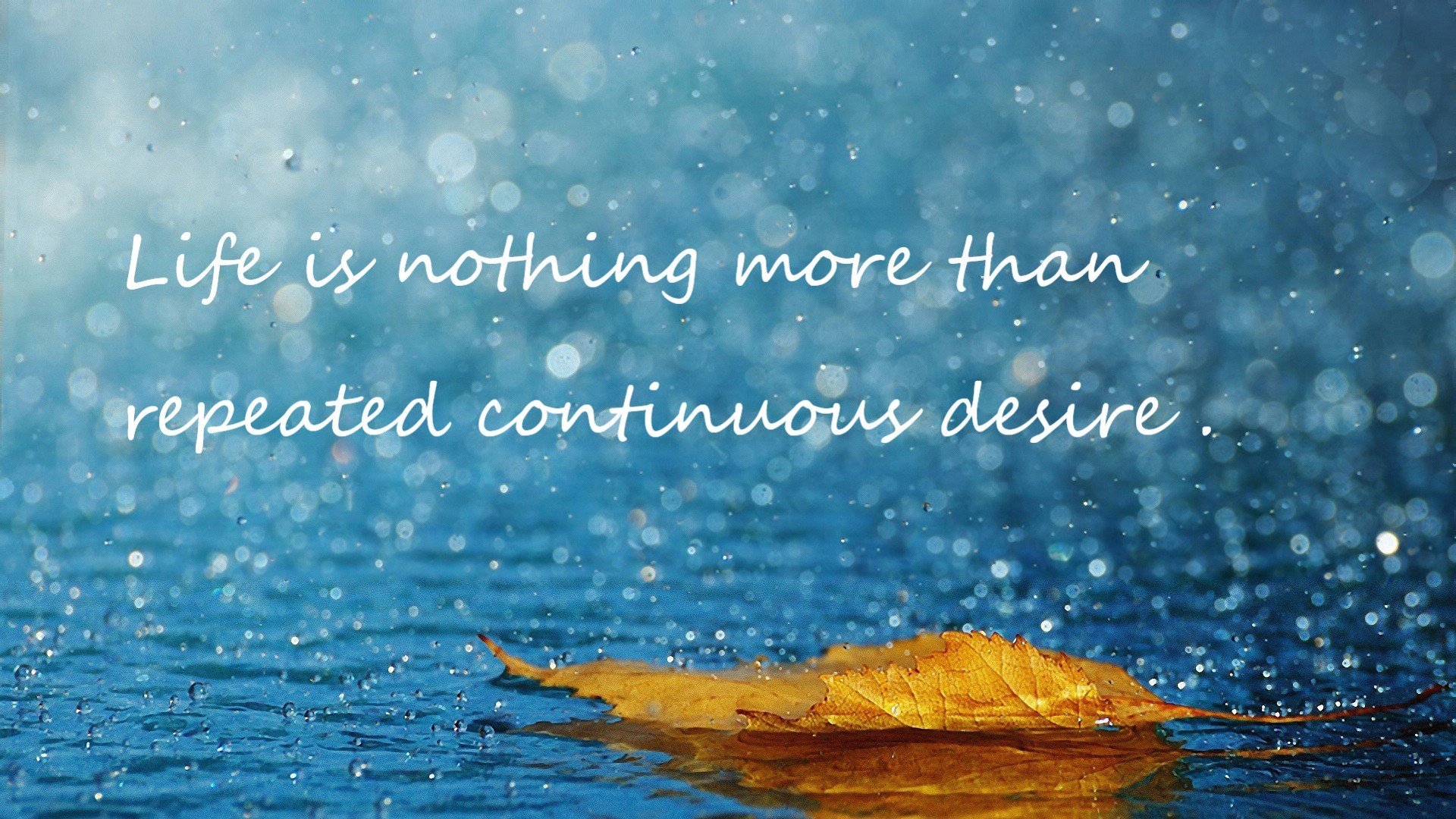 篮球与赛车的交响，活塞夺冠夜，塔图姆赛道称雄