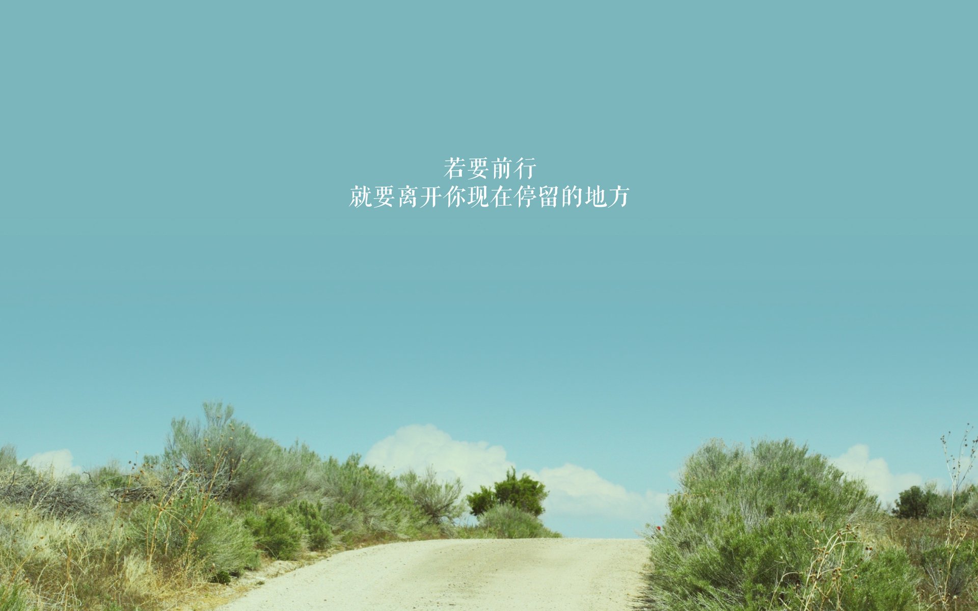 隔空双城记，文班亚马的掌控与深圳队的击溃