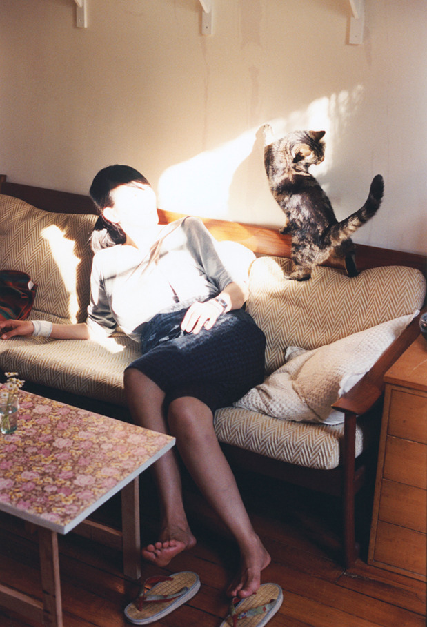 从绿茵场到全球视野，美国提前终结悬念，爱尔兰的挑战与新起点