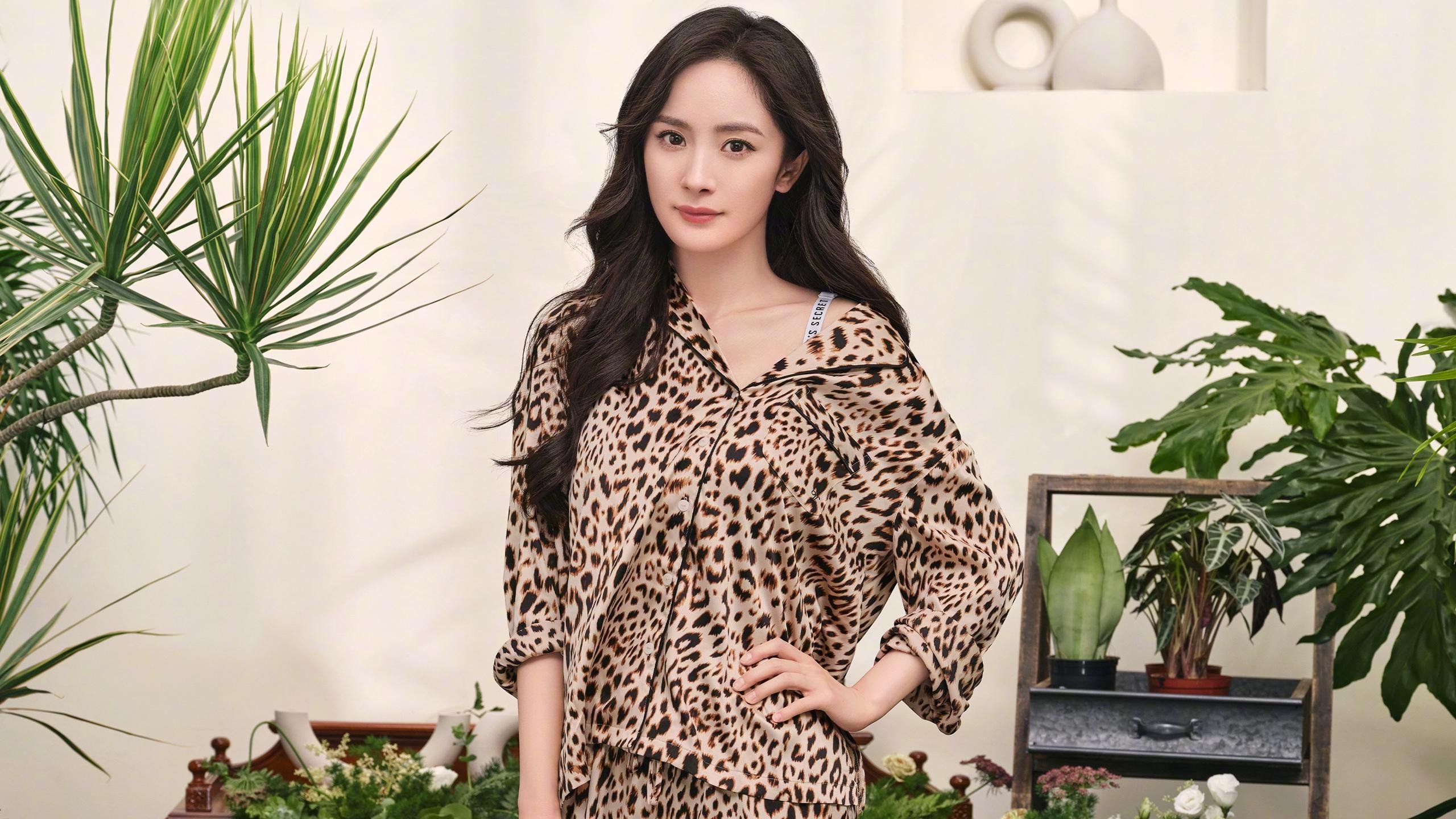 文明的肖像，雷恩对阵比利时，斯通斯主宰比赛走向